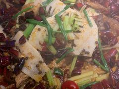 老板恋上鱼-老板恋上鱼(恒隆广场店)