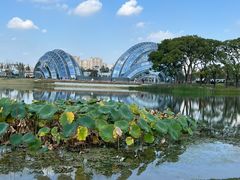-上海植物园-4号门售票处