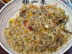 -扬二春炒饭(国庆路总店)