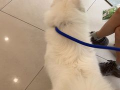 -艾贝尔宠物医院 ·中兽医·宠保定点(北门桥店)