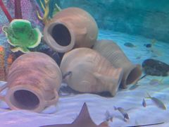 -沈阳海洋探索中心