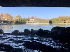 -春晖园度假酒店温泉