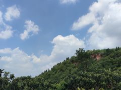 -桃源山庄·水蜜桃采摘·柴火鸡·烧烤团建(龙泉山店)