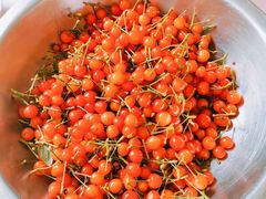 -崂山风景区-大河东游客中心