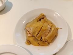 -席家花园(巨鹿花园店)