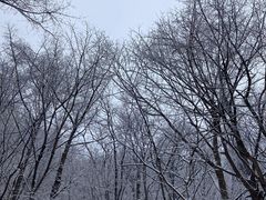 -崂山九水游览区