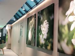 -奈雪的茶(赛格店)