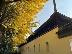 -西园戒幢律寺