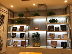 点击看大图 -尤尼可国际影像(万源分店)