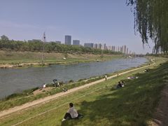 -洨河生态公园