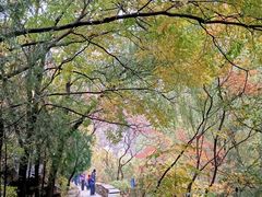 -碓臼峪自然风景区