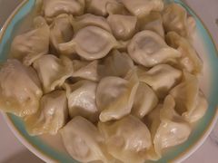 韭菜肉大份-岳姥姥饺子(泺文路店)