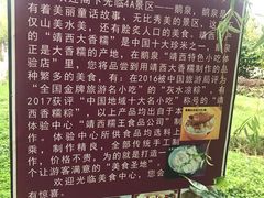 -靖西鹅泉风景区