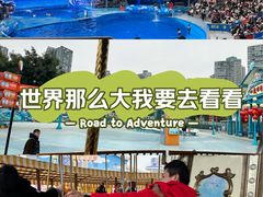 -海合安成都极地海洋公园