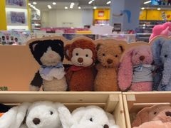 -TOYSRUS玩具反斗城(合肥华润万象城店)