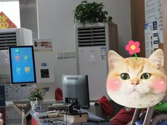-龙泉图书馆