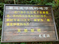 -龙道沟景区