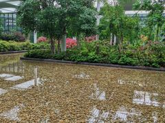 -白鹭湾湿地公园