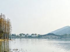 -长广溪湿地公园
