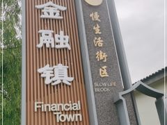 -湘湖金融镇