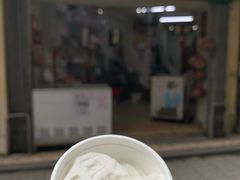 -洪馨椰子