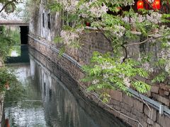 -百年老字号·观振兴蟹黄面·三虾面·苏式面(观前街富仁坊巷店)