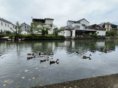 -同里国家湿地公园