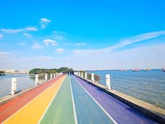 -贡湖湾湿地公园