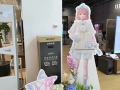 -Sony Store 索尼(来福士店)