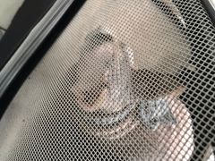 -美联众合动物医院·24h京西诊疗中心