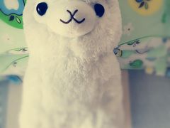 -LLJ夹机占(清河万象汇店)