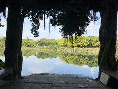 -小洲村