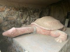 -上海佘山国家森林公园天马山园