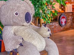 -了不起的考拉咖啡店(高新店)