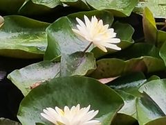 -绍兴镜湖国家城市湿地公园