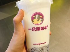 -一只酸奶牛(海南友谊阳光城店)