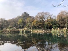 -花溪公园