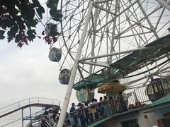 游乐设施-广东花都香草世界旅游度假区