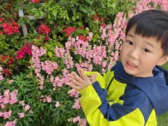-白鹭洲公园