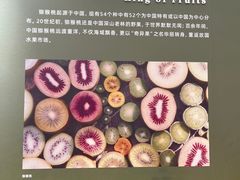 -上海中国航海博物馆