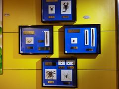 -上海昆虫博物馆