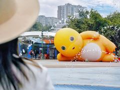 -海合安成都极地海洋公园