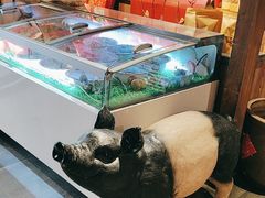 -山涧肴·泉水煮活鱼(坂田店)