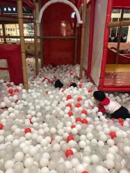 -DoDo梦想城(泉舜购物中心店)