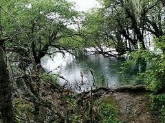 -黄龙山原始森林景区