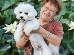 -翊宠yipet猫狗购宠庄园犬舍•猫舍