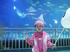 -烟台海昌鲸鲨海洋公园