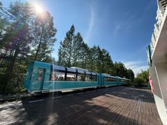 -莫尔道嘎国家森林公园