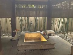 -春晖园度假酒店温泉