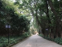-南沙天后宫景区